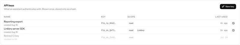 An API keys panel listing issued keys by prefix, with scopes, creation date and revocation controls.