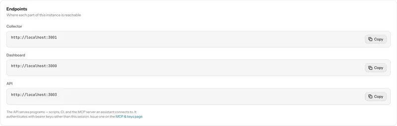 Falorb's endpoints panel listing the collector, dashboard and MCP hostnames configured for this deployment.